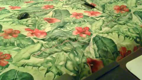 Rocco-load online show from 12-18-25, 06:58