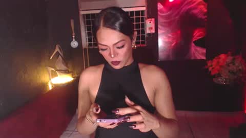 stella online show from 11-11-25, 04:51