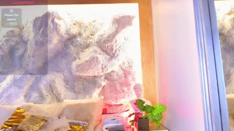 S T E L L A online show from 04-22-26, 05:58