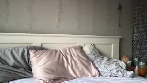 stelladams online show from 03-04-26, 09:43