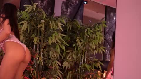 Steph online show from 01-13-26, 08:08