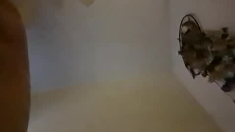 sterng123 online show from 12-10-24, 09:01