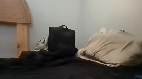 sterng123 online show from 10-13-25, 06:19