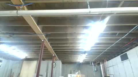 steved6001 online show from 11-26-25, 05:47