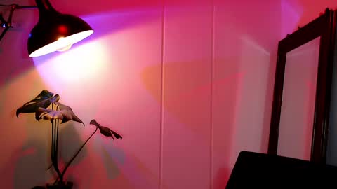 Daniel Steven Navarro online show from 04-05-26, 12:41