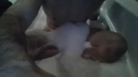 Snapshot of stevenross064 chatting on 11-15-25, 12:52 Tiny D online show from 11-15-25, 12:52