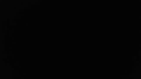 Stew Pididiot online show from 10-02-25, 12:39