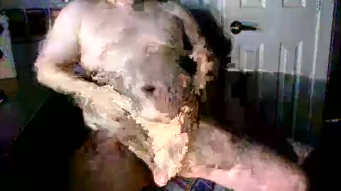 Snapshot of stockyguy31 chatting on 10-16-25, 11:06 StockynCuddly online show from 10-16-25, 11:06