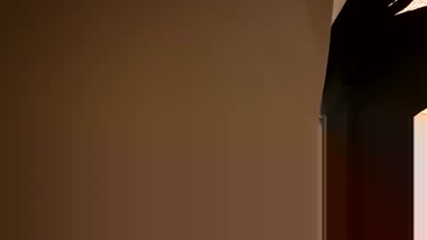 Snapshot of stokely571996 chatting on 12-05-24, 08:55 Oval2022 online show from 12-05-24, 08:55