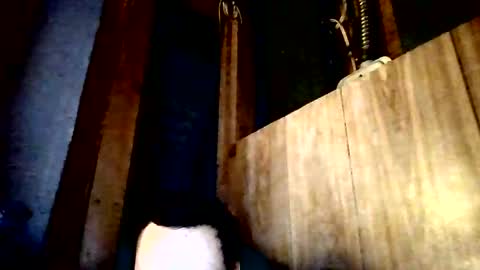 Snapshot of stonedstallion2019 chatting on 04-02-26, 07:33 stonedstallion2019 online show from 04-02-26, 07:33