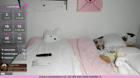 Snapshot of str4wb3rrycat chatting on 11-18-25, 11:15 kat online show from 11-18-25, 11:15