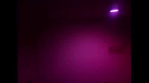 Strawberry online show from 02-19-26, 10:11