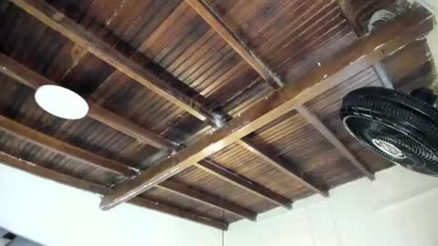 Alexa   online show from 02-02-26, 10:58