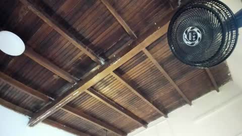 Alexa   online show from 03-25-26, 11:05