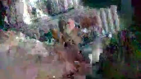 stud_1975 online show from 03-02-25, 08:05