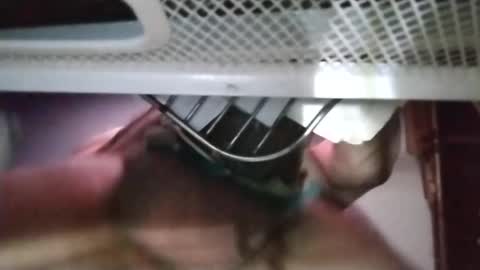 Snapshot of stuffamuffagus69 chatting on 11-18-25, 01:11 stuffamuffagus69 online show from 11-18-25, 01:11