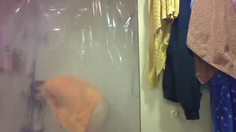 sub4you69brat online show from 12-20-25, 09:33