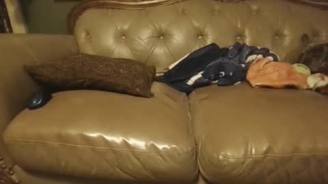 sub_michael41 online show from 01-21-25, 05:05