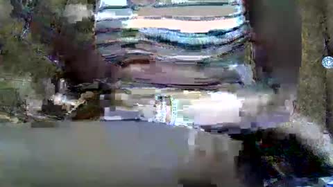 Snapshot of submissive_slut001 chatting on 01-12-25, 11:50 submissive_slut001 online show from 01-12-25, 11:50