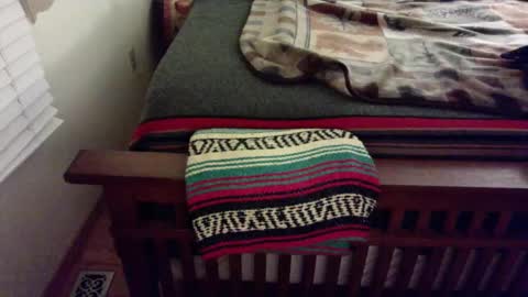 Snapshot of submitted4u chatting on 02-02-25, 03:32 Submitted4u online show from 02-02-25, 03:32