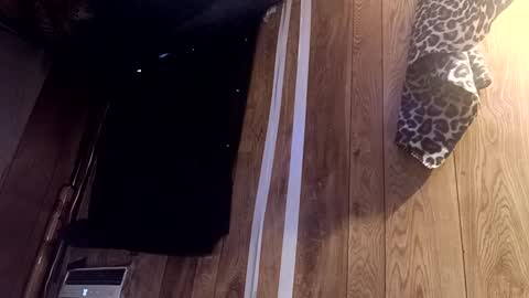 Snapshot of summerdivine69 chatting on 02-22-25, 08:53 Summer Divine online show from 02-22-25, 08:53