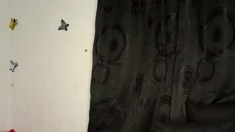 Annie online show from 01-10-25, 12:17