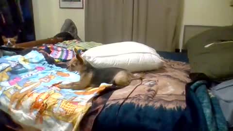 Suntroll online show from 06-10-26, 08:24
