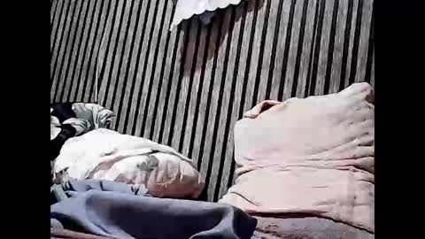 superclit4u online show from 11-11-25, 08:03