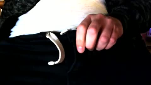 Snapshot of superstuntman1 chatting on 02-10-25, 07:36 superstuntman1 online show from 02-10-25, 07:36