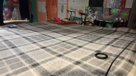 Stony online show from 12-02-24, 10:07