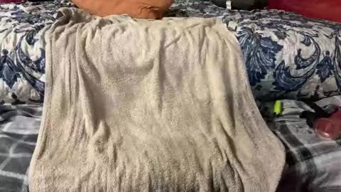 Stony online show from 03-03-25, 09:48