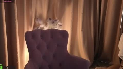 Snapshot of susan__clark chatting on 05-17-26, 06:55 Annie online show from 05-17-26, 06:55
