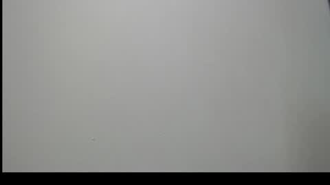 sussy leon online show from 12-16-24, 12:16