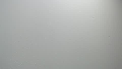 sussy leon online show from 02-11-25, 12:05