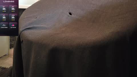 sweaty_hairy_cocks online show from 06-06-26, 06:07