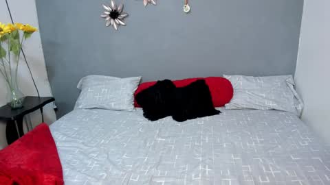Snapshot of sweet_amanda_95 chatting on 12-03-24, 12:16 Sweet Amanda95 online show from 12-03-24, 12:16