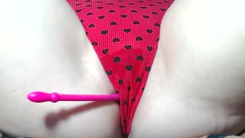 Kitten online show from 04-02-26, 08:56