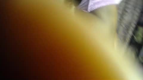 Snapshot of sweet_kush chatting on 06-22-26, 05:15 Kush online show from 06-22-26, 05:15