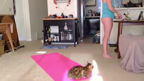 Heidi Brenner - Please check bio for schedule  FAQ online show from 10-07-25, 01:19