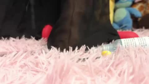  Sweet  online show from 05-06-26, 10:48
