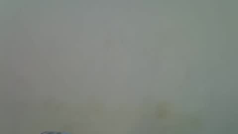 Snapshot of sweetalura chatting on 11-30-25, 09:02 Alura online show from 11-30-25, 09:02