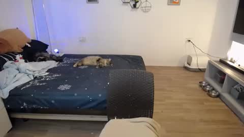 Snapshot of sweetcuteangel chatting on 01-21-25, 04:48 angel 3 online show from 01-21-25, 04:48