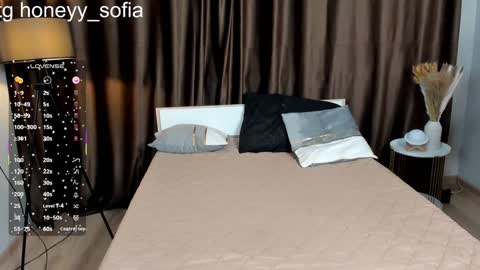 Snapshot of sweete_sofia chatting on 01-28-25, 08:26 Sofia online show from 01-28-25, 08:26