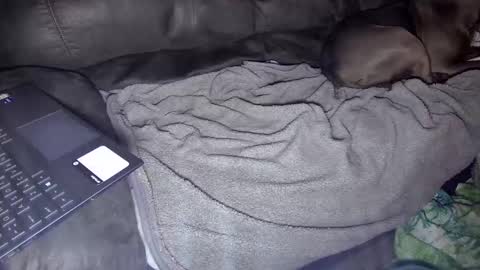 sweetgesus online show from 01-05-25, 03:53