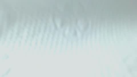 Snapshot of sweetnwildts chatting on 05-20-26, 02:51 Ghena online show from 05-20-26, 02:51
