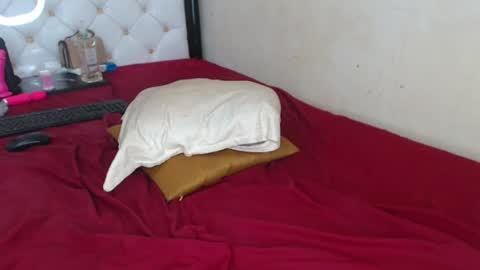 Snapshot of sweetslyvie chatting on 07-13-26, 12:19 sweetslyvie online show from 07-13-26, 12:19