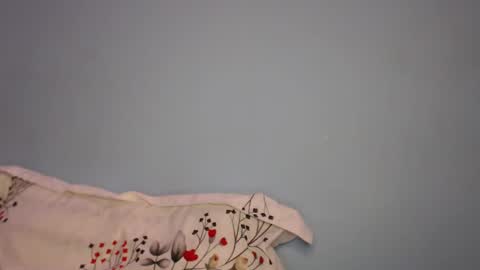 Cat online show from 02-20-26, 05:24