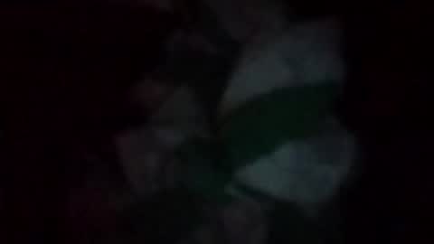 swollpole2112 online show from 05-16-26, 06:43