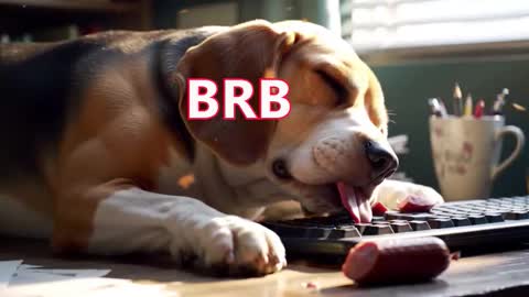 Snapshot of szymon2502 chatting on 03-10-26, 11:32 Simon online show from 03-10-26, 11:32