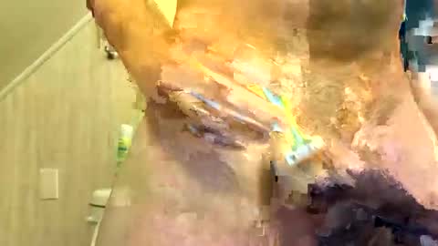 Snapshot of tailblazzer chatting on 10-14-25, 10:49 tailblazzer online show from 10-14-25, 10:49